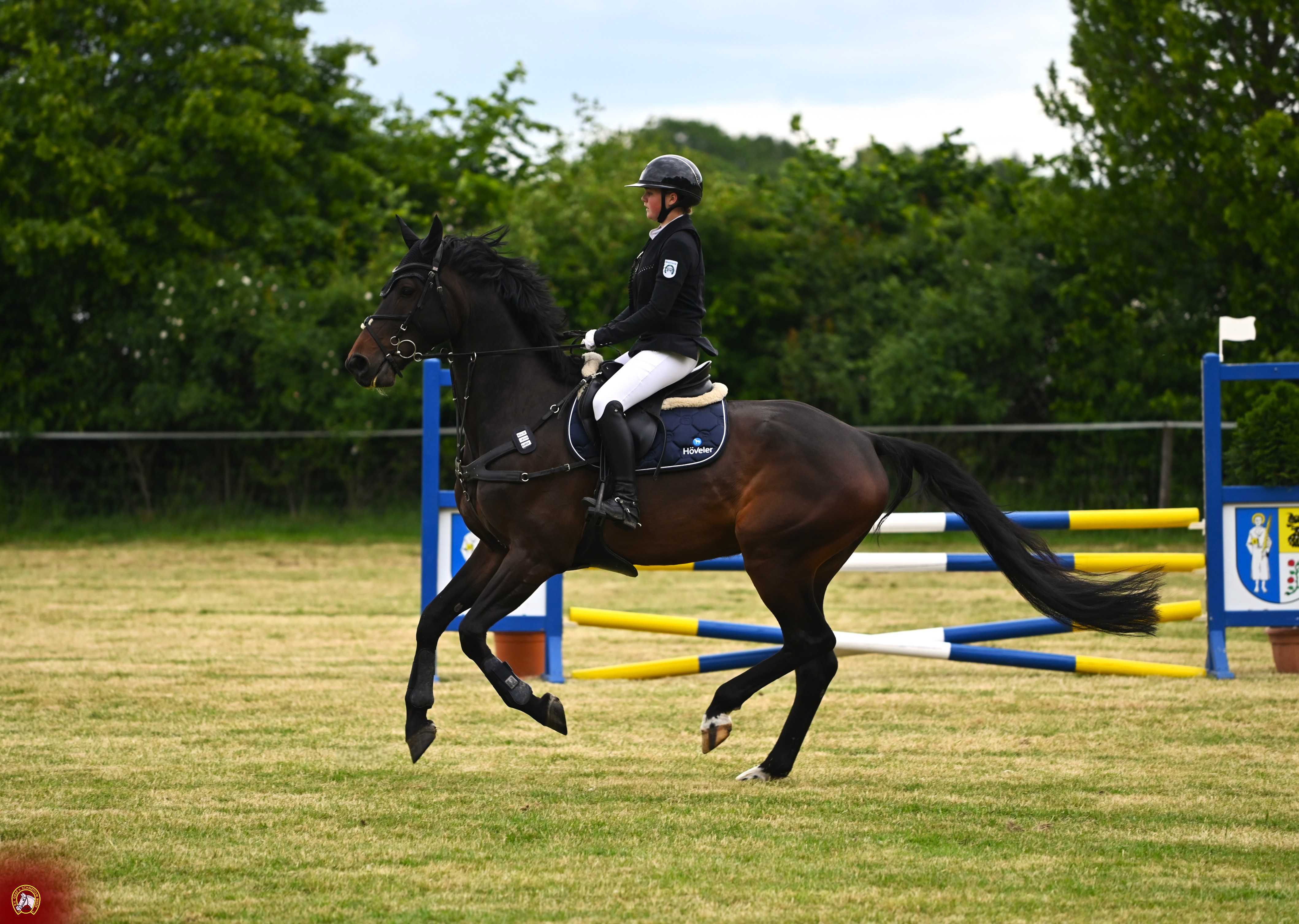Bild